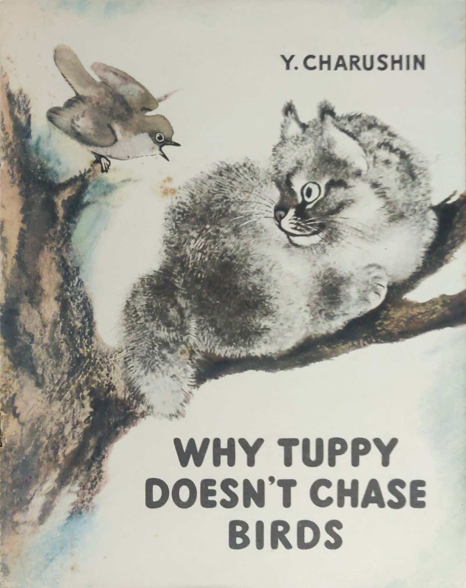 WHY TUPPY DOESN'T CHASE A BIRD